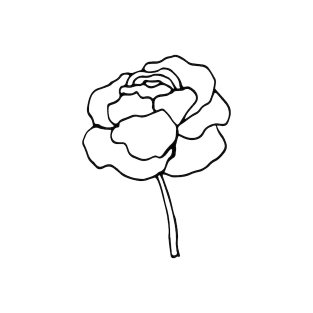 かわいい片手で描かれた花の要素。結婚式のデザイン、ロゴ、グリーティングカードの落書きベクトルイラスト。