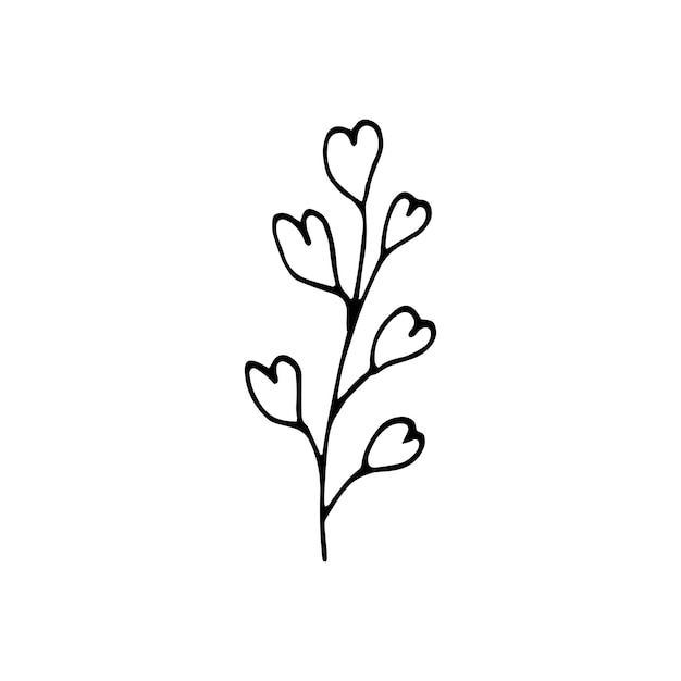 Cute single hand drawn floral elements. Doodle vector illustration for wedding design, logo and greeting card.