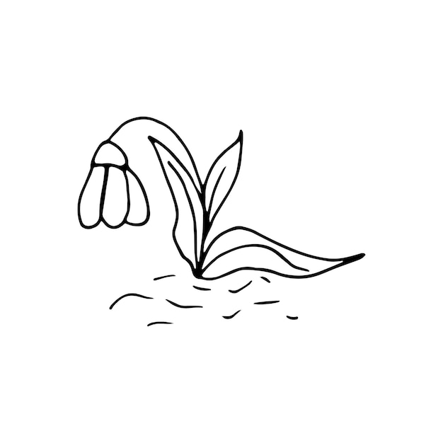 かわいい片手描きの花スノー ドロップ春の花結婚式のデザインのロゴのグリーティング カードと季節のイースター デザインの落書きベクトル イラスト