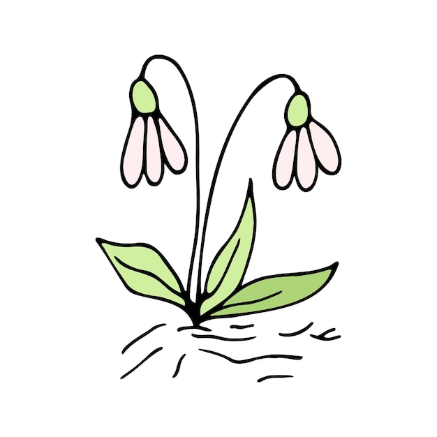 Vector cute single hand drawn flowers snowdrop spring blossom