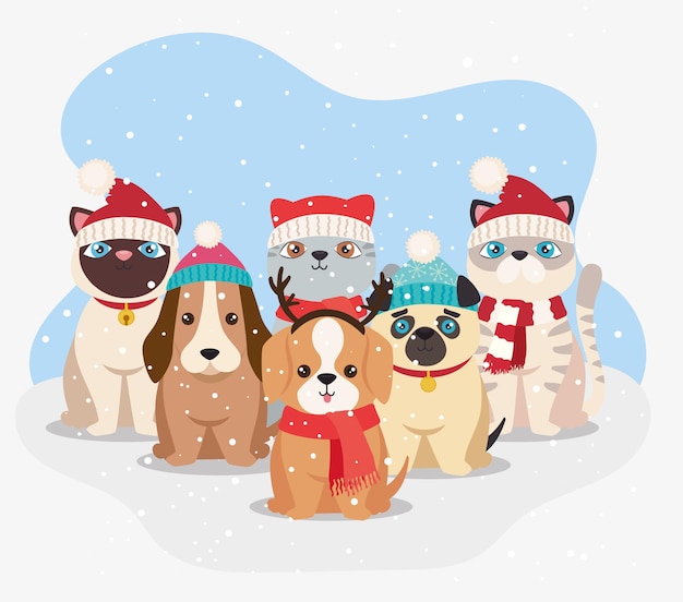 Cute six christmas pets