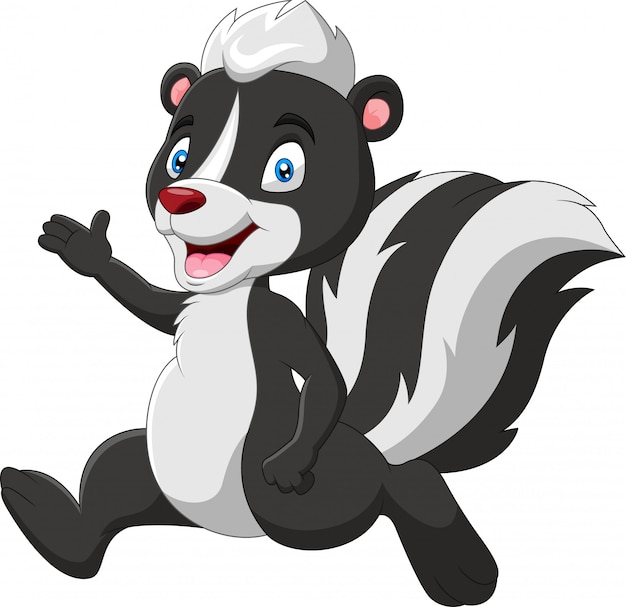 Vector a cute skunk cartoon illustration