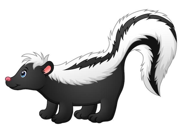 Vector cute skunk cartoon