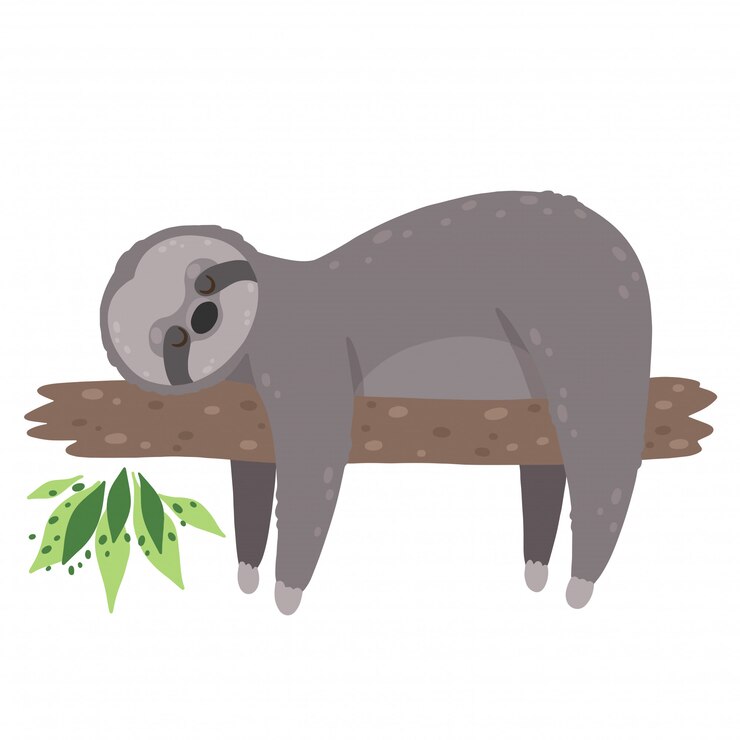 Vector cute sleeping sloth isolated in white background. 