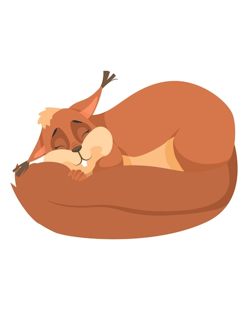 Vector cute sleeping squirrel cartoon vector on white