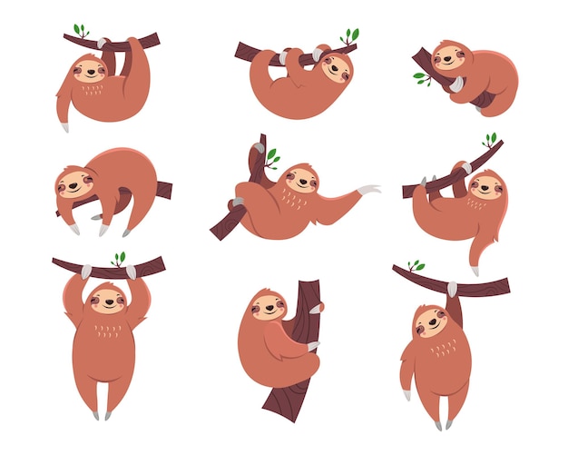 Cute sloth cartoon character flat illustrations set