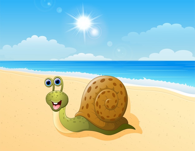 Vector cute snail cartoon at the beach