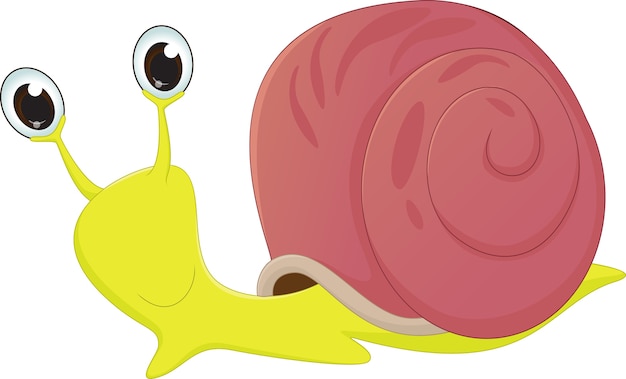 Cute snail cartoon