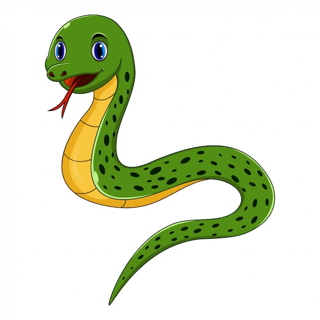 Cute snake cartoon