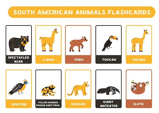 Vector cute south american animals with names flashcards for learning english