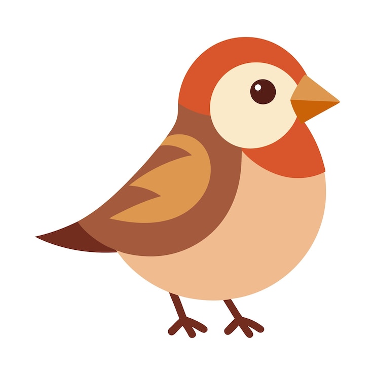 Vector cute sparrow bird flat style isolated on white background vector illustration