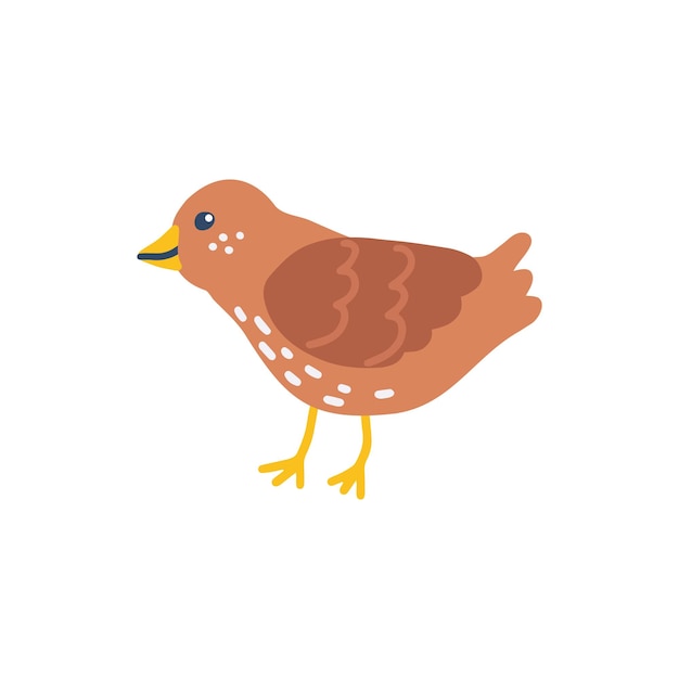 Cute sparrow vector flat hand drawn illustration