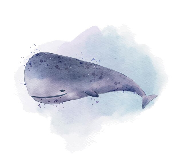 cute sperm whale watercolor illustration