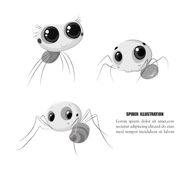 Vector cute spider illustration