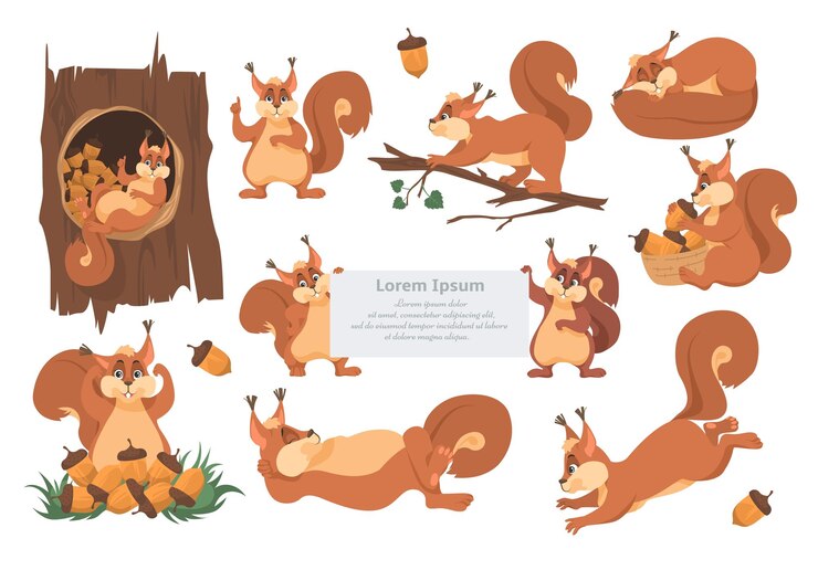 Vector cute squirrel cartoon character set flat vector isolated illustration funny forest wild animals emoj
