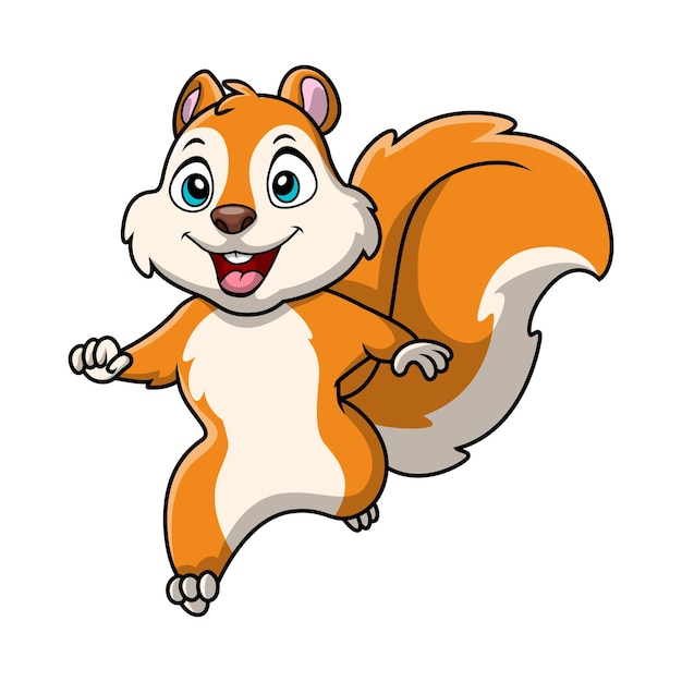 Vector cute squirrel cartoon on white background