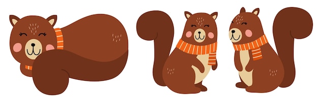 Cute squirrel with scarf autumn Vector illustration of cute squirrel in a cartoonstyle