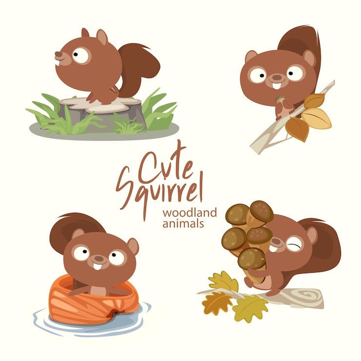 Vector cute squirrel woodland animals