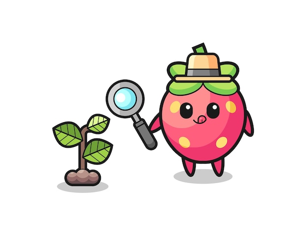 Cute strawberry herbalist researching a plants , cute design