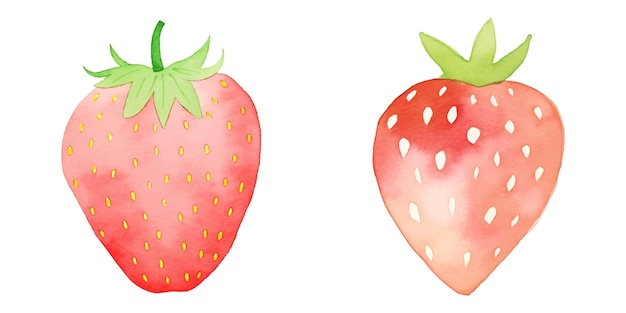 cute strawberry watercolor vector illustration