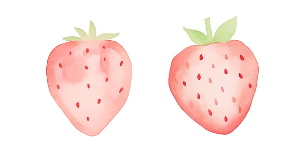 cute strawberry watercolor vector illustration