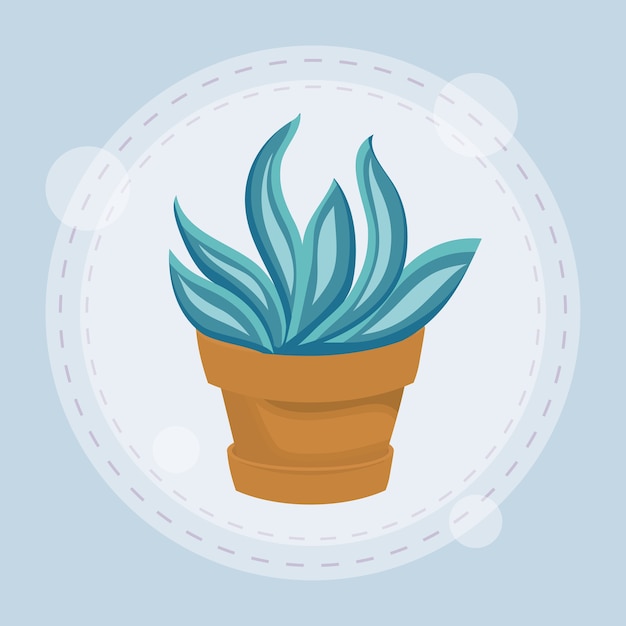 Cute succulent plant in pot