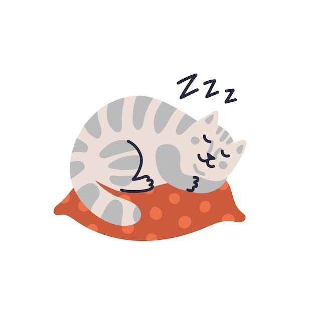 Vector cute tabby cat sleeping on the pillow