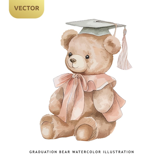 Cute teddy bear graduation watercolor isolated on white background university or student kids bear vector illustration