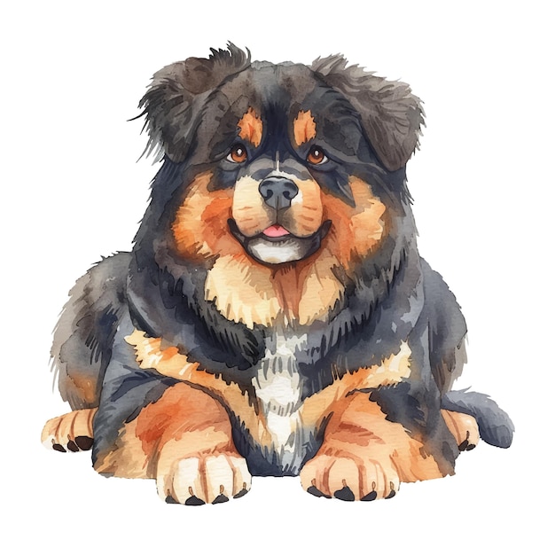 Vector cute tibetan mastiff vector illustration in watercolour style