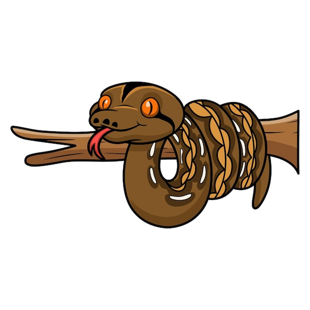 Cute tiger reticulatus python cartoon on tree branch