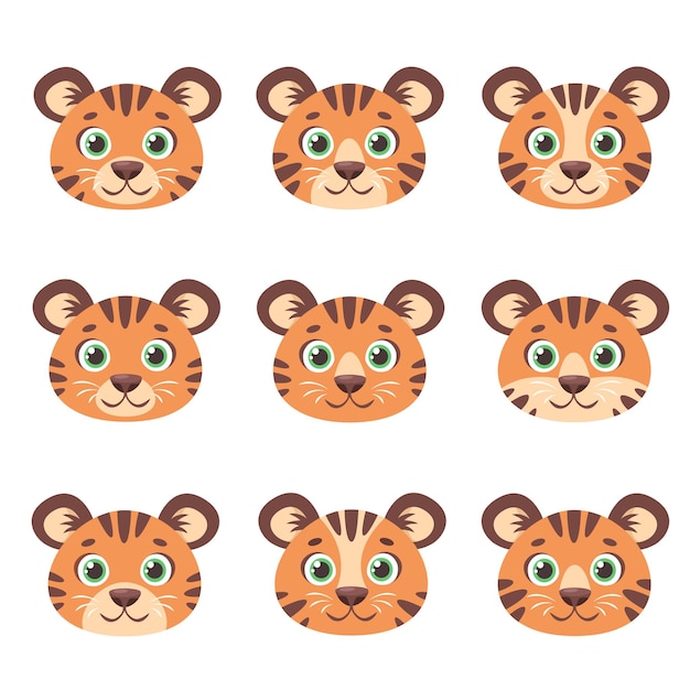 Cute tigers faces year of the tiger