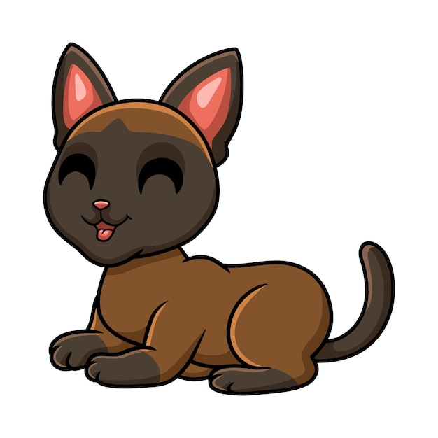 귀여운 tonkinese 고양이 만화 앉아