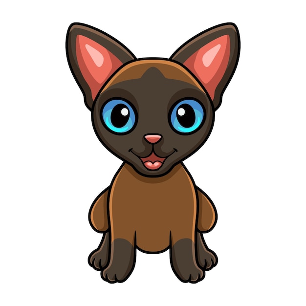 귀여운 tonkinese 고양이 만화 앉아