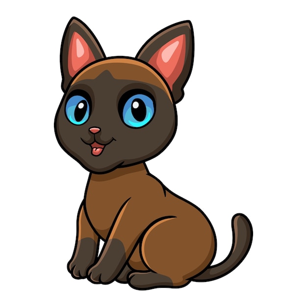 Cute tonkinese cat cartoon sitting