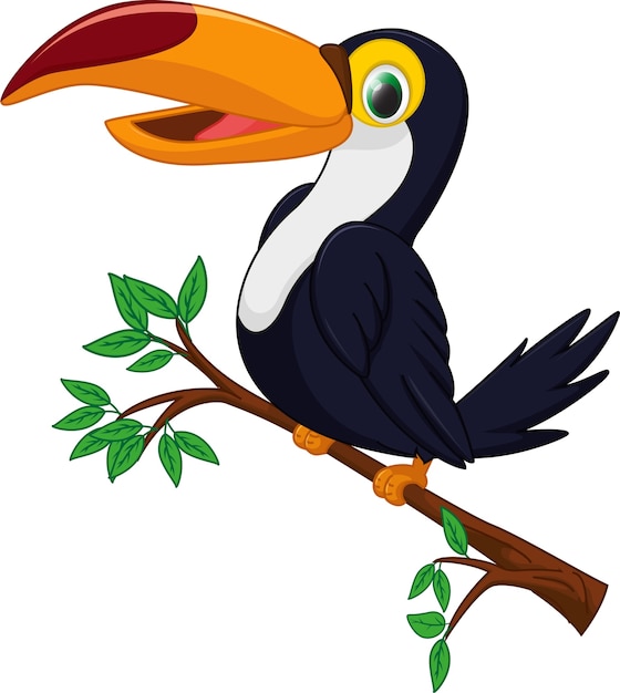 Cute toucan bird cartoon