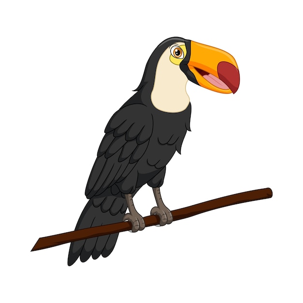 Vector cute toucan bird on a tree branch