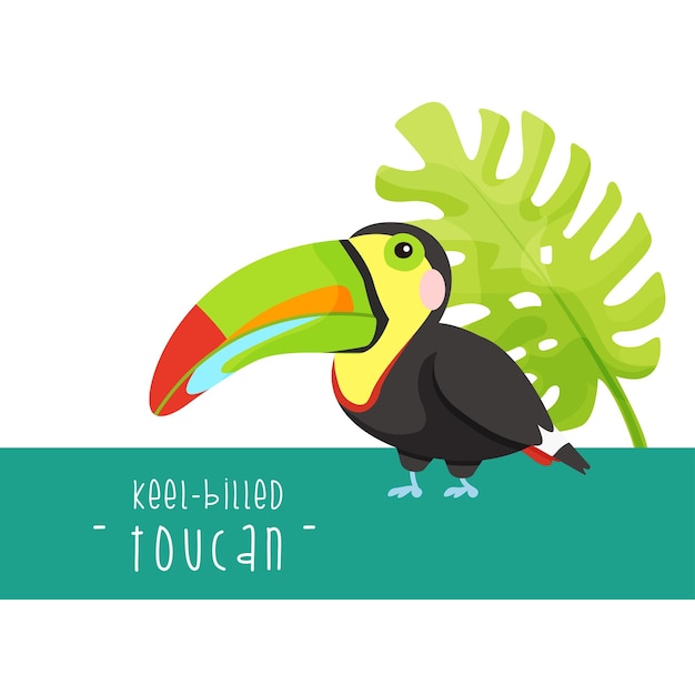 Cute toucan illustration isolated on white background