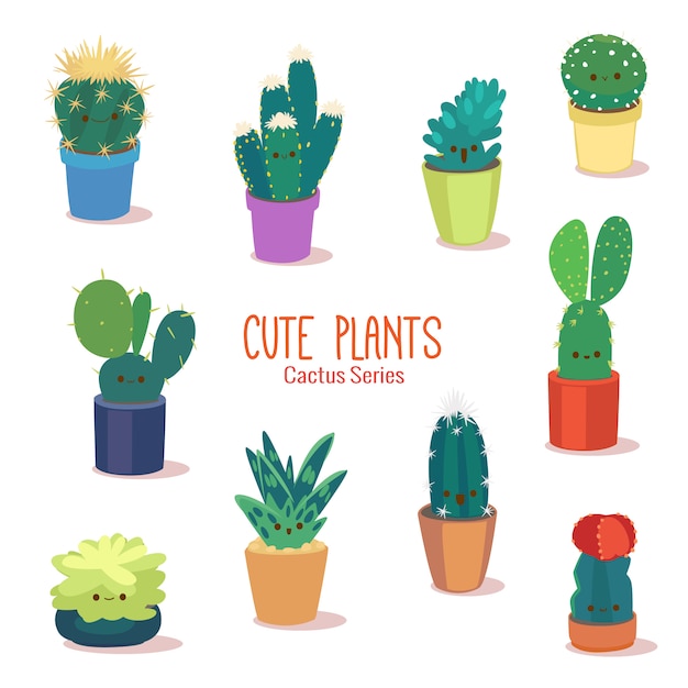 Cute Tropical Cactus Plants