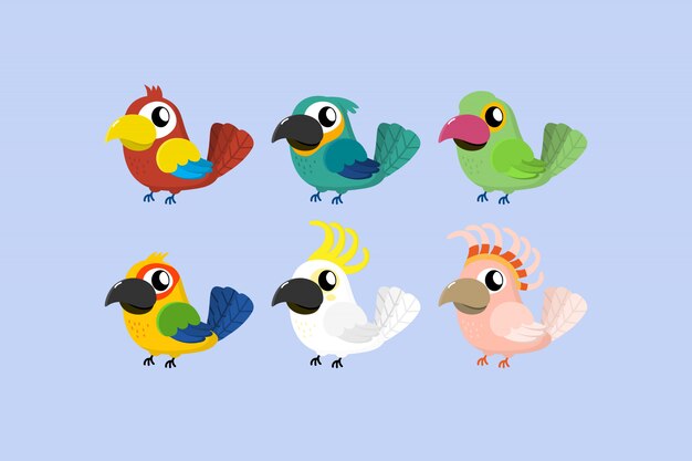 Vector cute tropical parrot cartoon vector. 