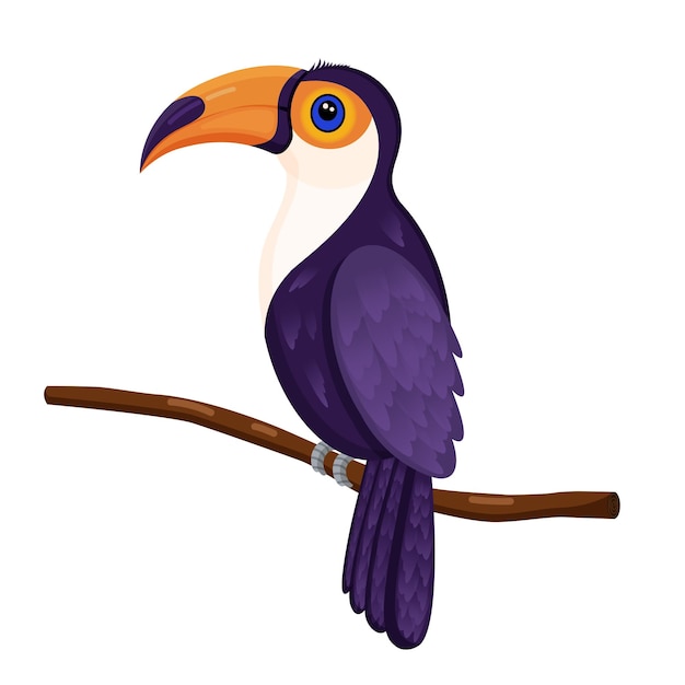 Cute tropical toucan bird vector illustration on a branch for advertising children book postcards