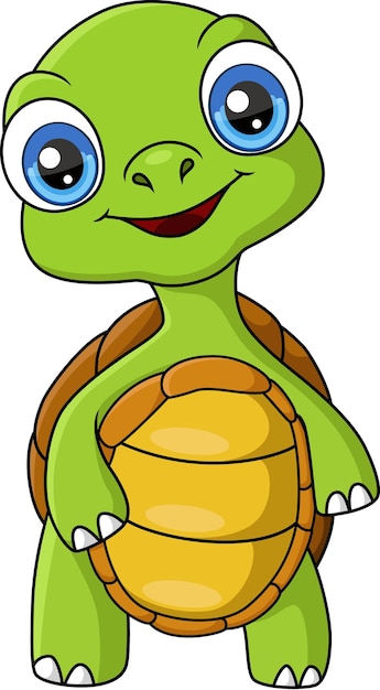 Cute turtle cartoon posing on white background