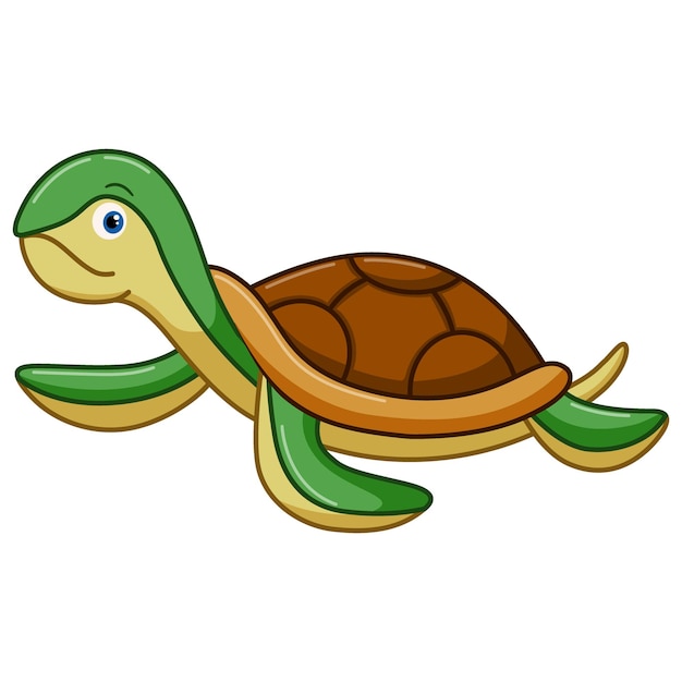 Cute turtle cartoon on white background