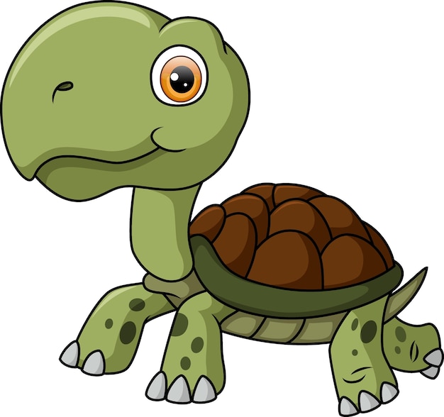 Cute turtle cartoon on white background