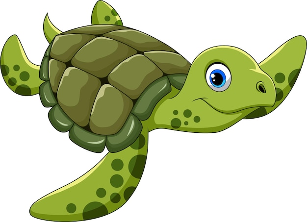 Cute turtle cartoon