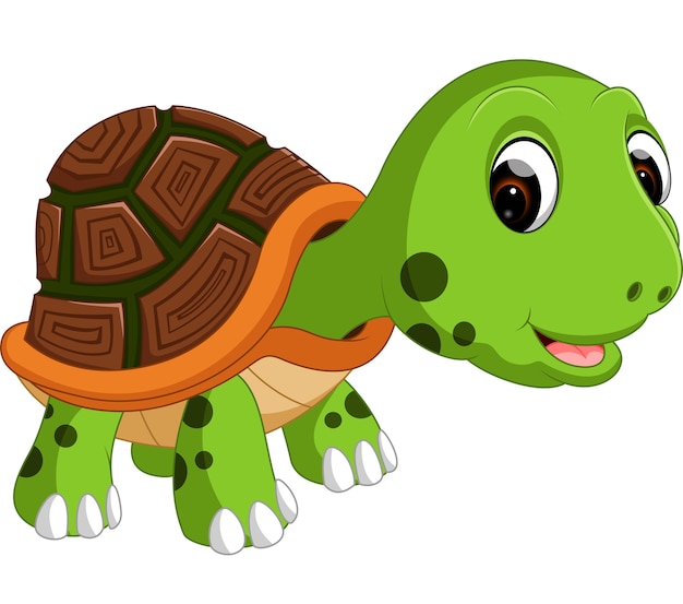 Cute turtle cartoon