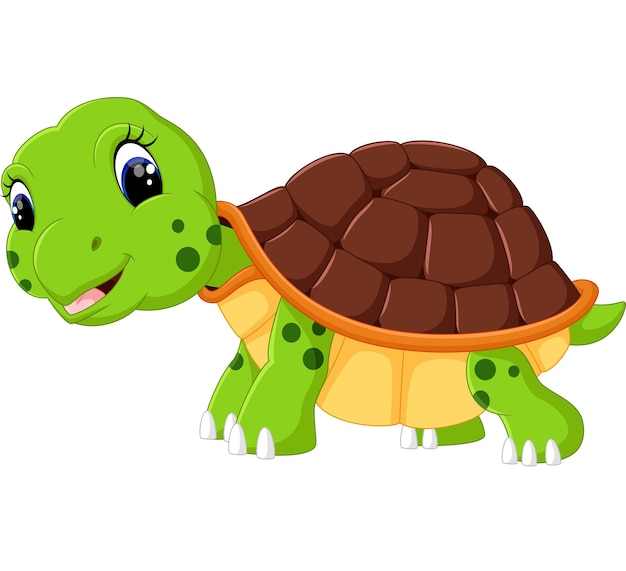 Cute turtle cartoon