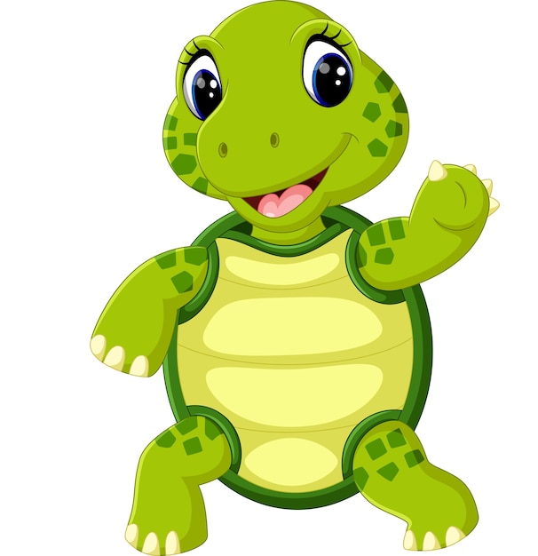 Cute turtle cartoon