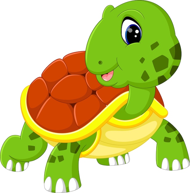 Cute turtle cartoon