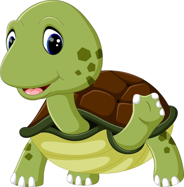 Cute turtle cartoon