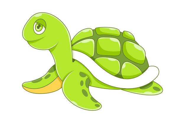 Cute Turtle Character Design Illustration